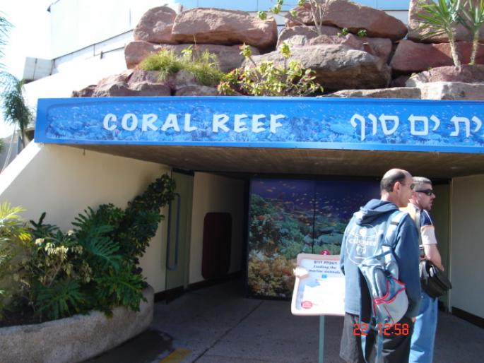 557 Israel - Eilat - The Observatory Marine Park - 2008 ISRAEL NOIEMBRIE