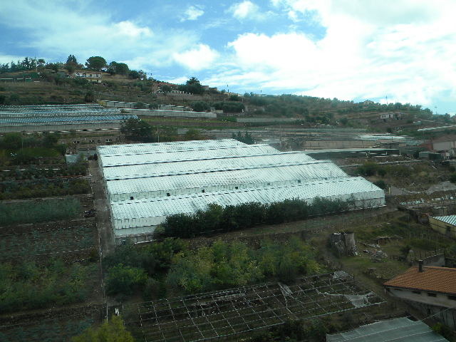 DSCN2464