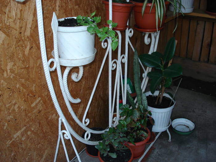 DSC09533