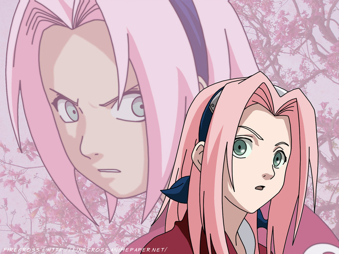 sa20 - Sakura