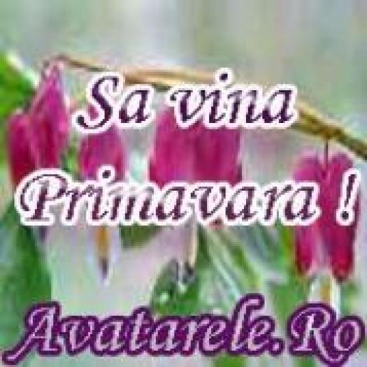 GFMZXUWECWOBJWFDDTB - avatare