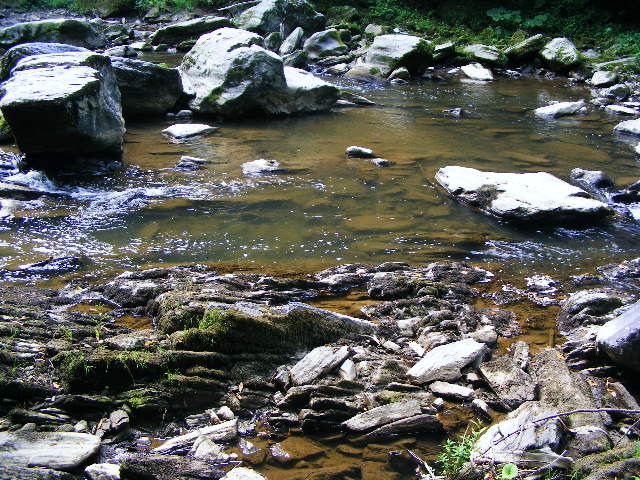 DSCF5096