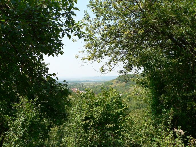 P100055 - 2007 concediu poze 2