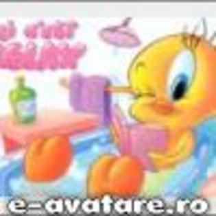 avatare_gratuite_0b9232c59e66449e1ff13006beaa029c - poze animate