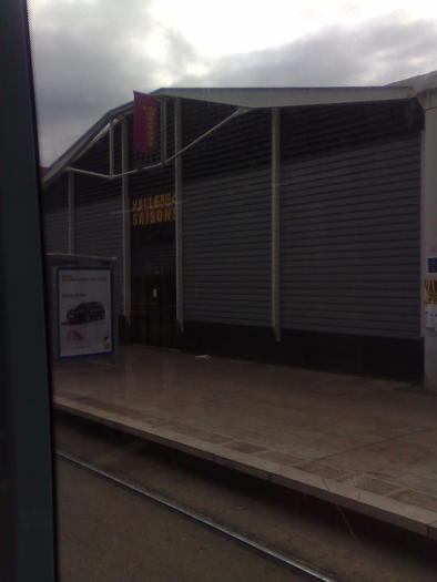 Imagine1193 - ApiMondia