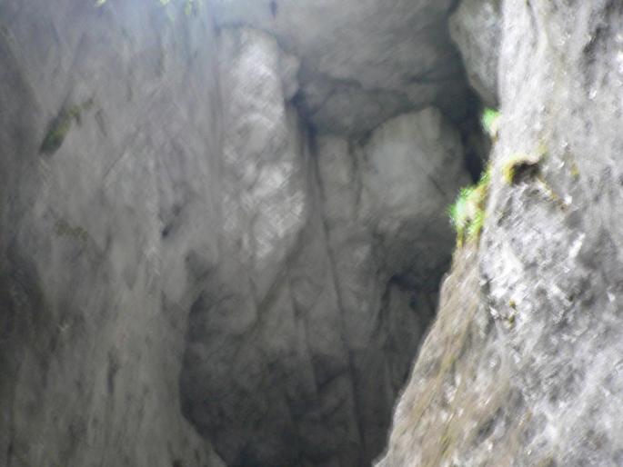 P100062