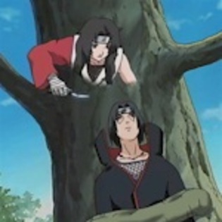 jushibaribvv5