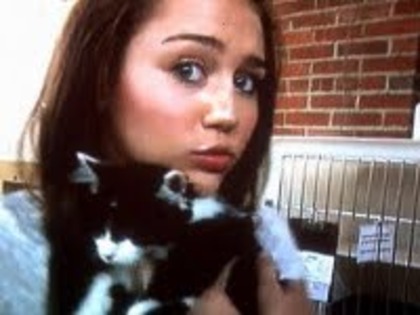 miley and cat - 0-MILEY_HANNAH_LOLA