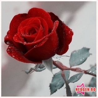 84714f46_0010000359723_00_600