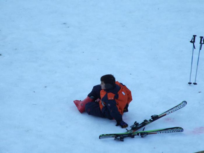 Cheile Gradistei 12.2008 035