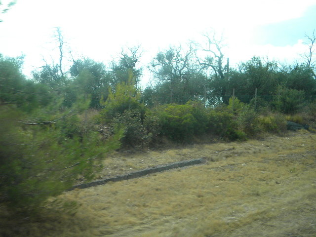 DSCN2522 - LA INTOARCERE