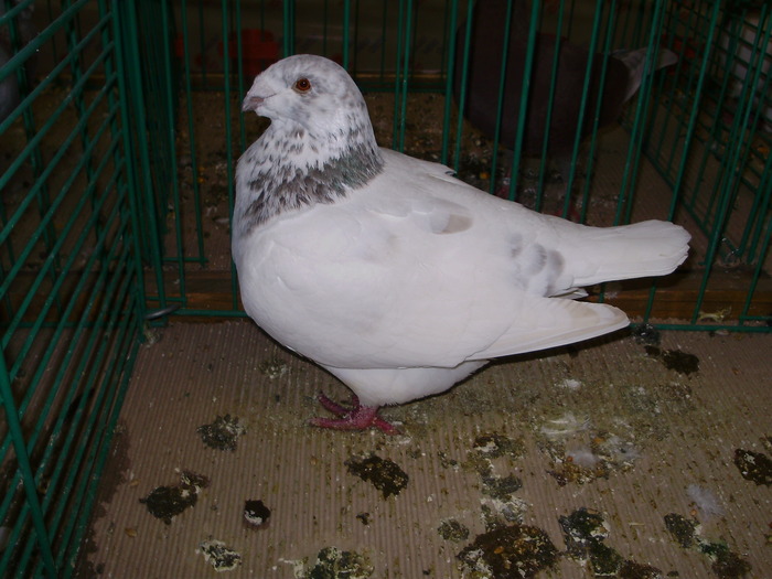 6317 sr 1 - 1507 partea 1b