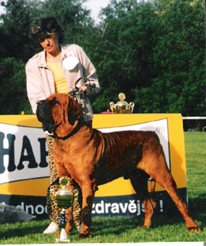 Chiyriu Tosa Centrum: Strabunic2 - Chiyriu Tosa Centrum CAMPION MONDIAL 2003