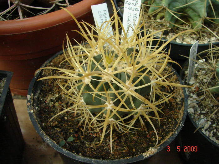 DSC05497