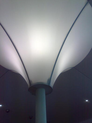 Imagine1404 - ApiMondia