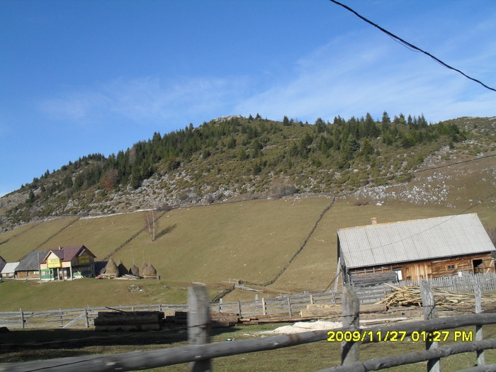 SDC10684 - cheile gradistei