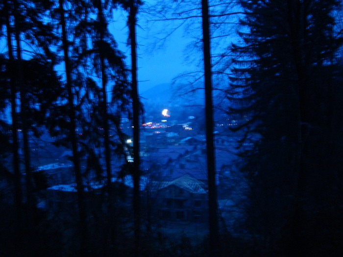 DSC00949