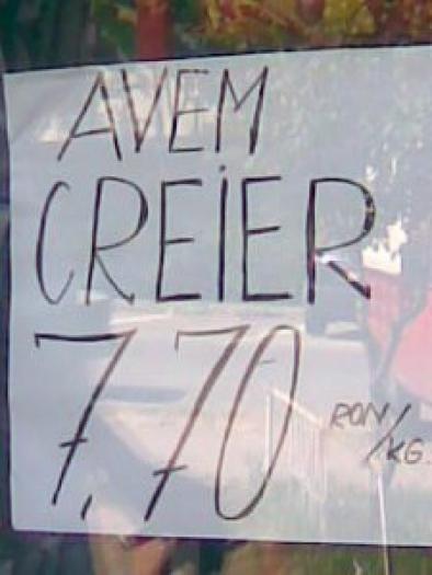 avem-creier-225x300 - poze misto