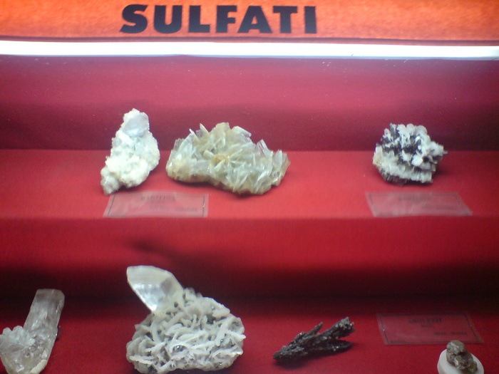 DSC00456 - STEFY BUCURESTI - MUZEUL DE GEOLOGIE