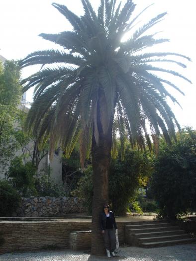 Picture 357; Nicosia de Sud
