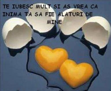 oua%20indragostite