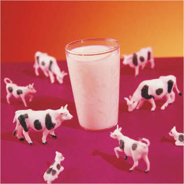 Milk_Flavors - laptic
