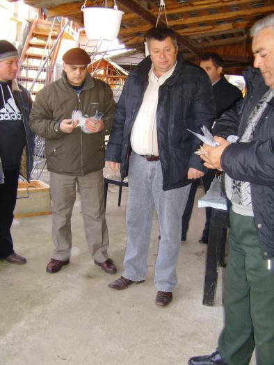 HPIM5000 - 7 - Expozitia Columbofila Targoviste 2008