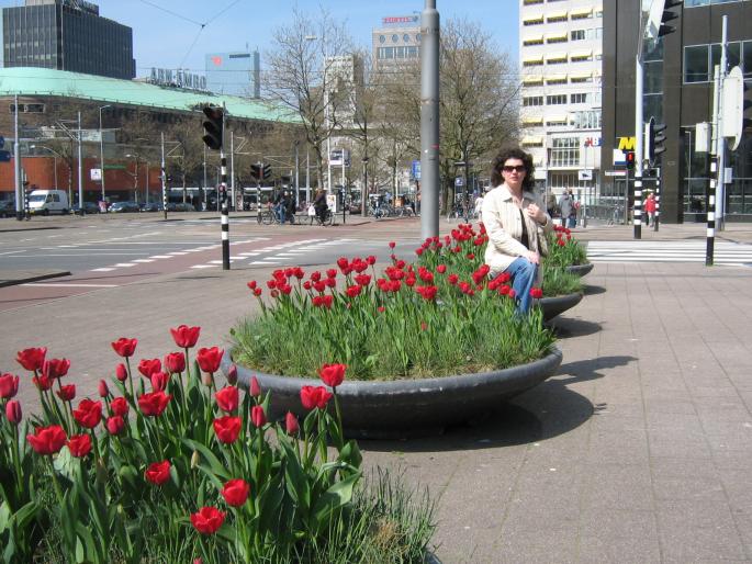 IMG_3565 - Rotterdam 2008