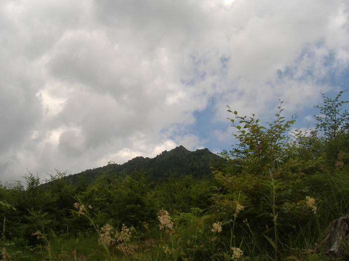 DSCF6113