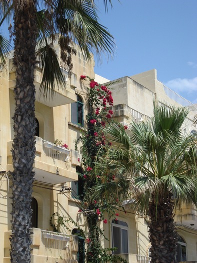 DSC04178 - 2009 MALTA AUGUST