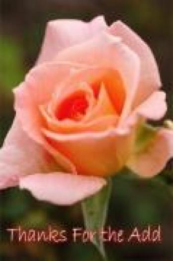 GXFRVDDQBGTEOLOEPYX - flori