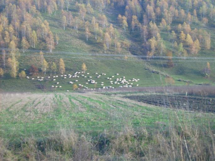 Luli5 03 - Refugiu Condor 2007