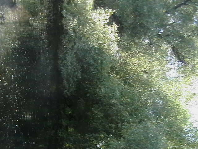 IMGA0870 - In Delta Dunarii- Mila 23-iunie 2009