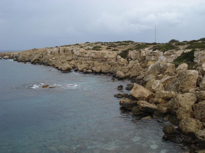 Picture 500 - 2009 REVELION CIPRU