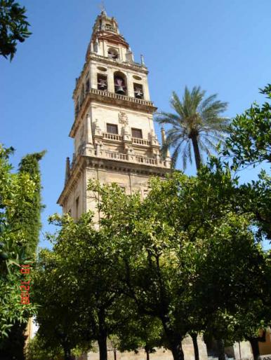 64 Cordoba - Cordoba