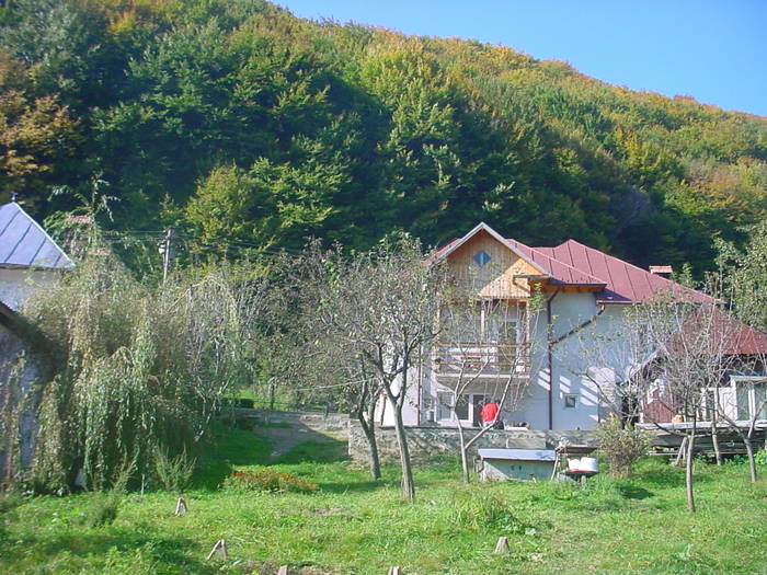 DSC03940 - 2005 OLANESTI