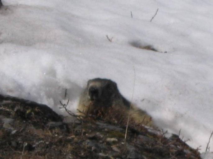 Resize of Picture 089