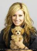 ce catel dragut si mic - ashley tisdale