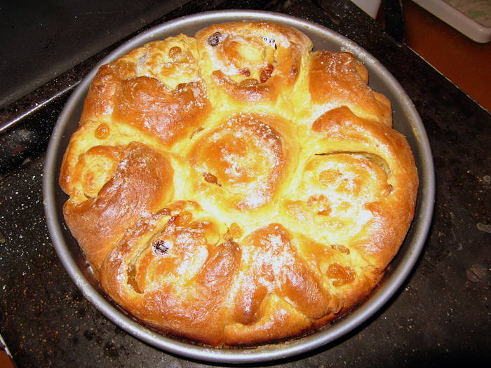 trandafirul - papa bun