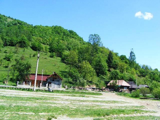 DSCF0786