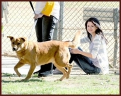 VZZRRWRFYWRBSKVQHPP - Selena Gomez sh animalele