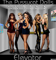 2983006210_6df9054053_m - pussycat dolls