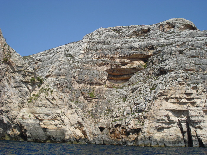 DSC04581