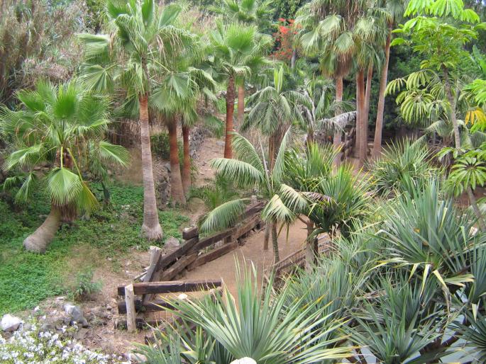 Tenerife 11 aug 2006 Jungle Park10