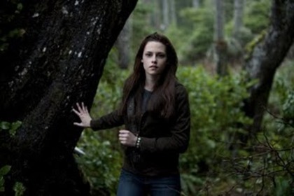 the-twilight-saga-new-moon-328387l