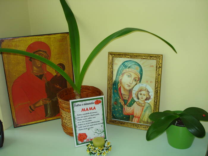 Din partea Cristinei,de 8 martie!