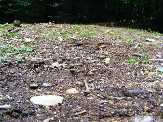 DSCF4851 - Firiza_Maramures