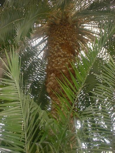 DSCF0166