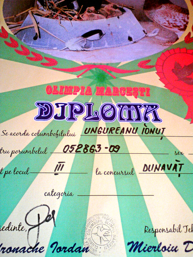DSC00025 - cupe si diplome