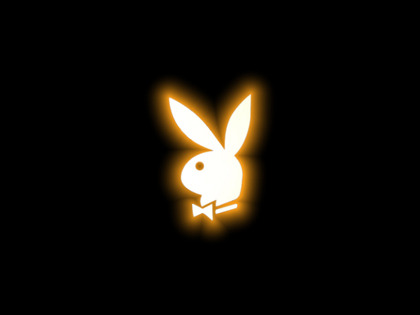 1177playboy_bunny_420 - Playboy Bunny